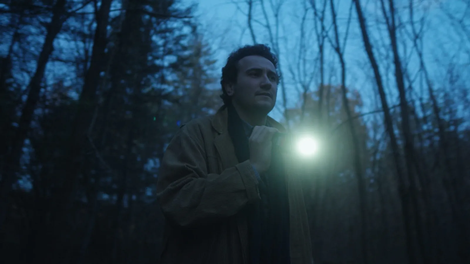 Vignette du film expérimental Le Baron (2024)