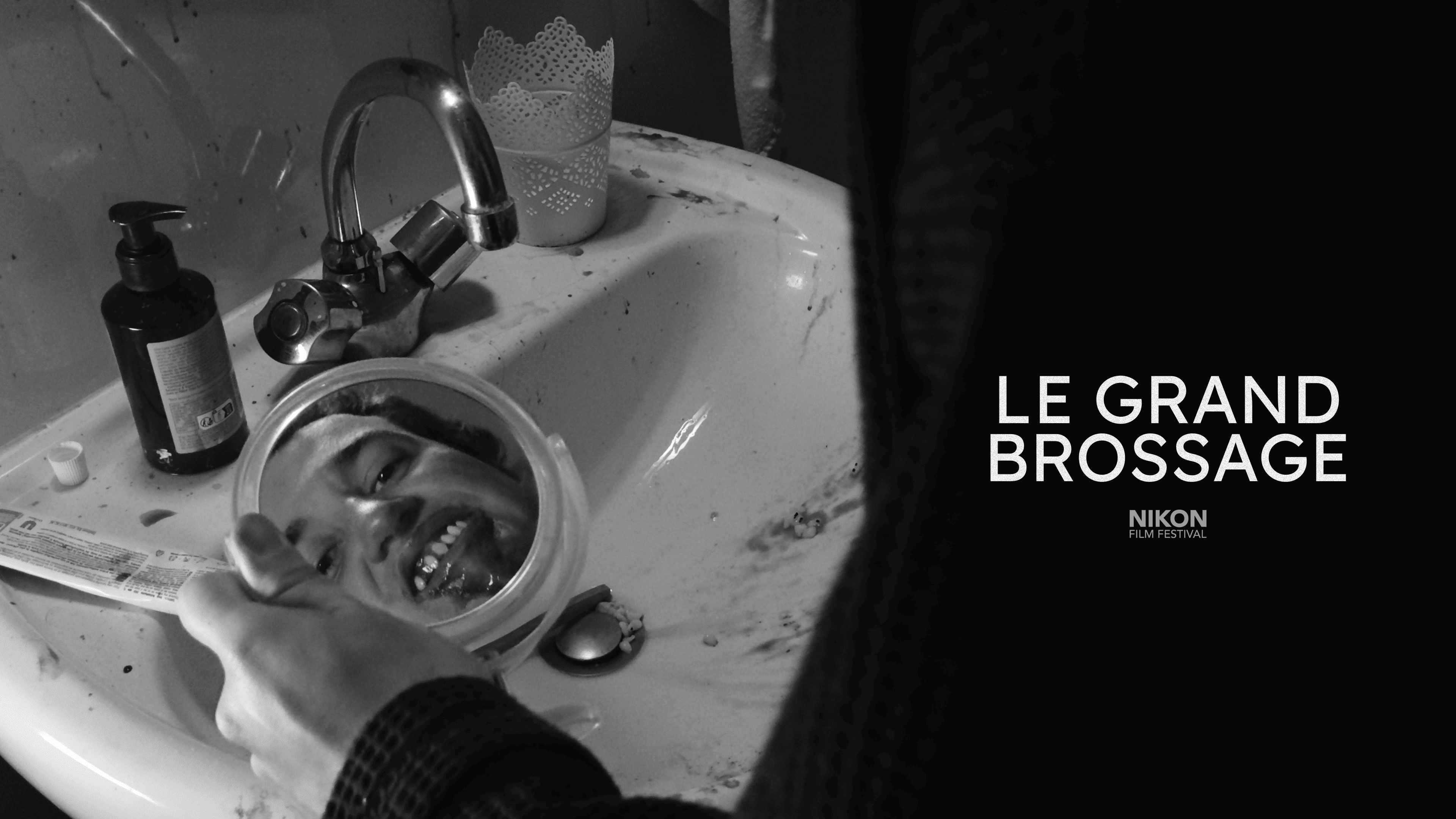 Le Grand Brossage