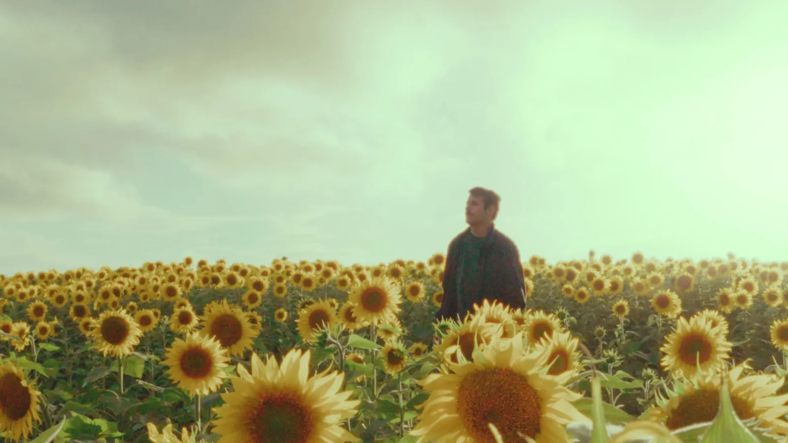 Vignette du film expérimental Quand les Vents jouent en harmonie (2023)